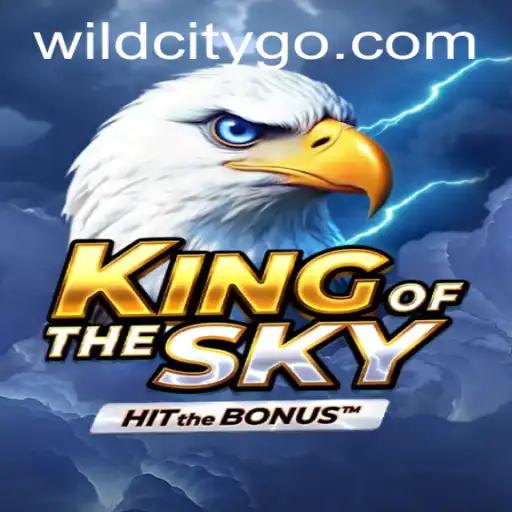 Exploring the Thrills of KingOfTheSky in the Vibrant WildCity