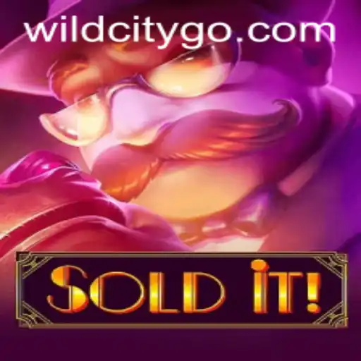 Unveiling Soldit: The Exciting World of Wildcity